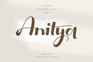 Anitya: A Designer’s Honest Review for Branding