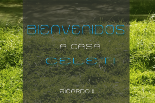 Celeti: A Bold Display Font for Memorable Branding