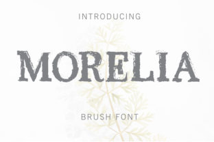 Morelia: A Playful Display Font for Web Design