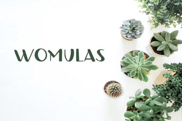 Womulas: A Playful Display Font for Web Design
